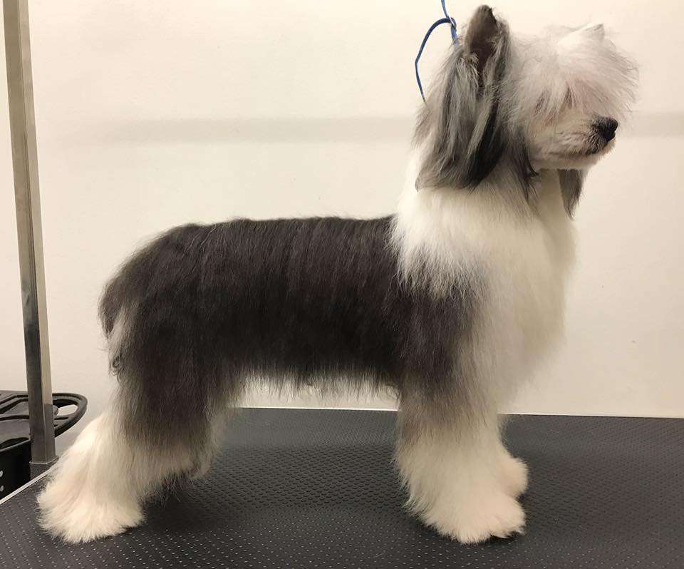 Ensidias The Final Frontier