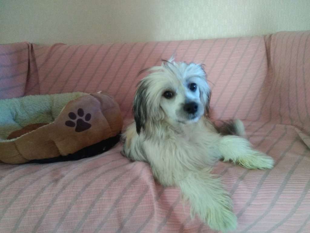 Nahkapartion Ben Bigb Gurion