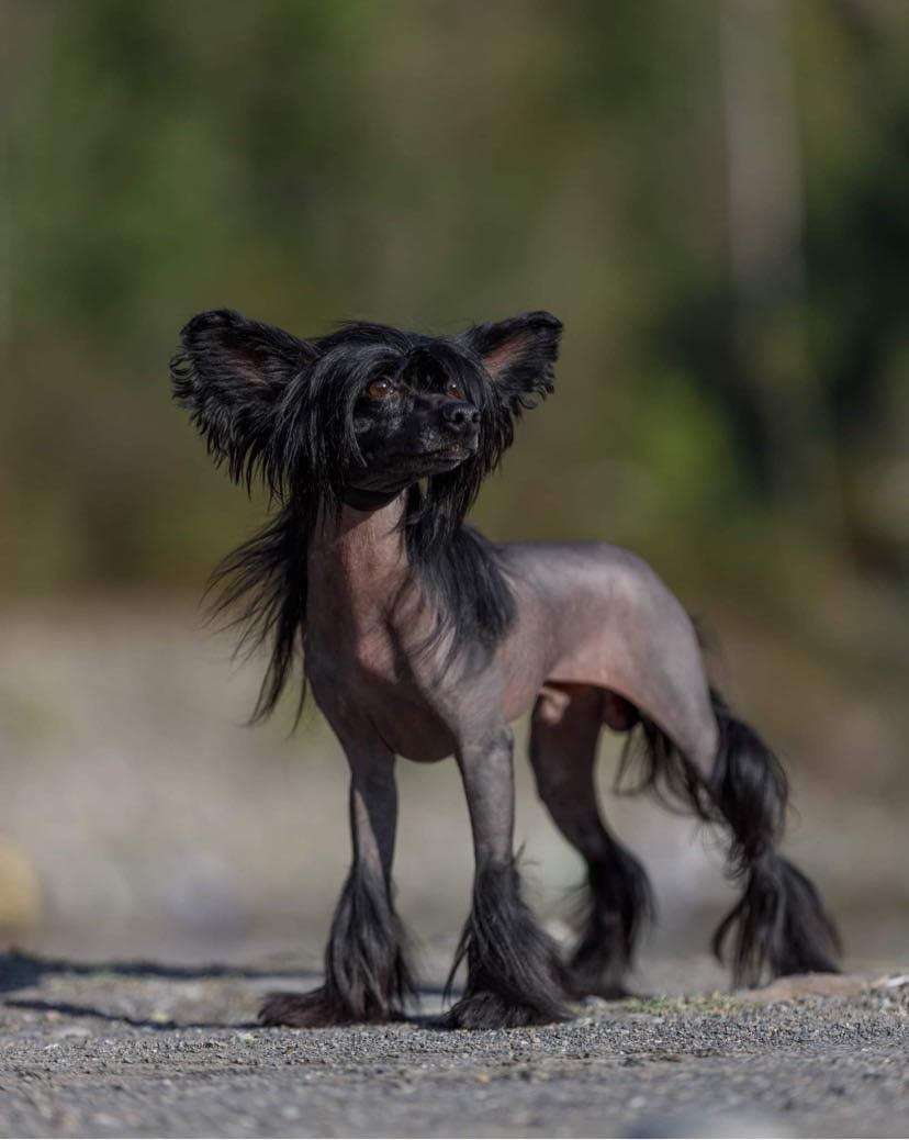 Yam Mey's Darth Vader