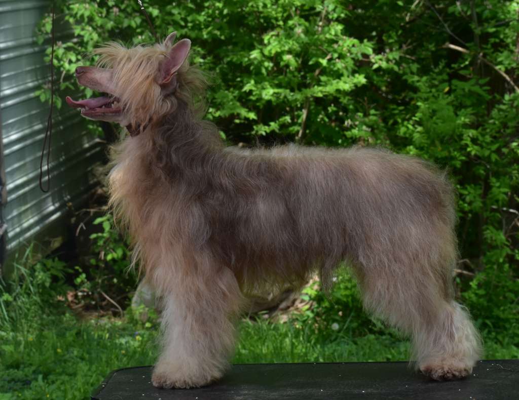 Raven's Gives Hope To A Dreamer