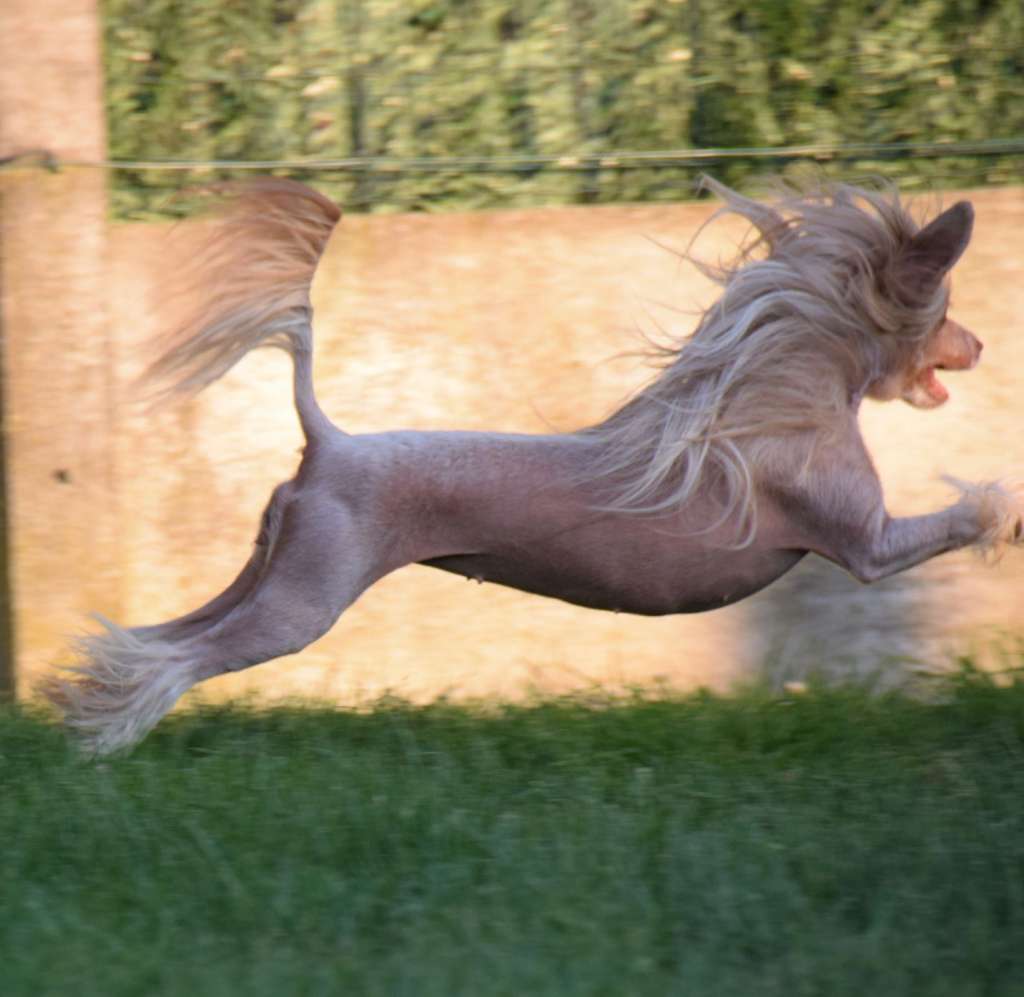 Norma Jeane Baker Of Pastime Paradise
