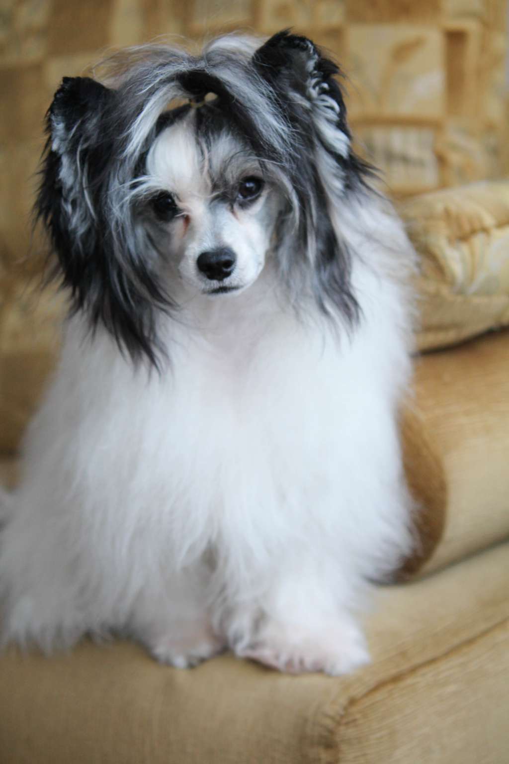 Luniks Stail JeTaime Lafleur