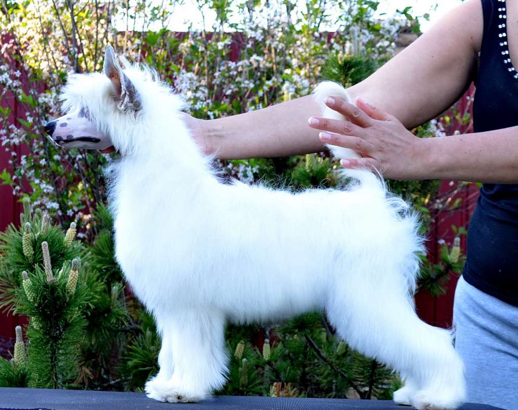 Etno Spirit Pretty Woman