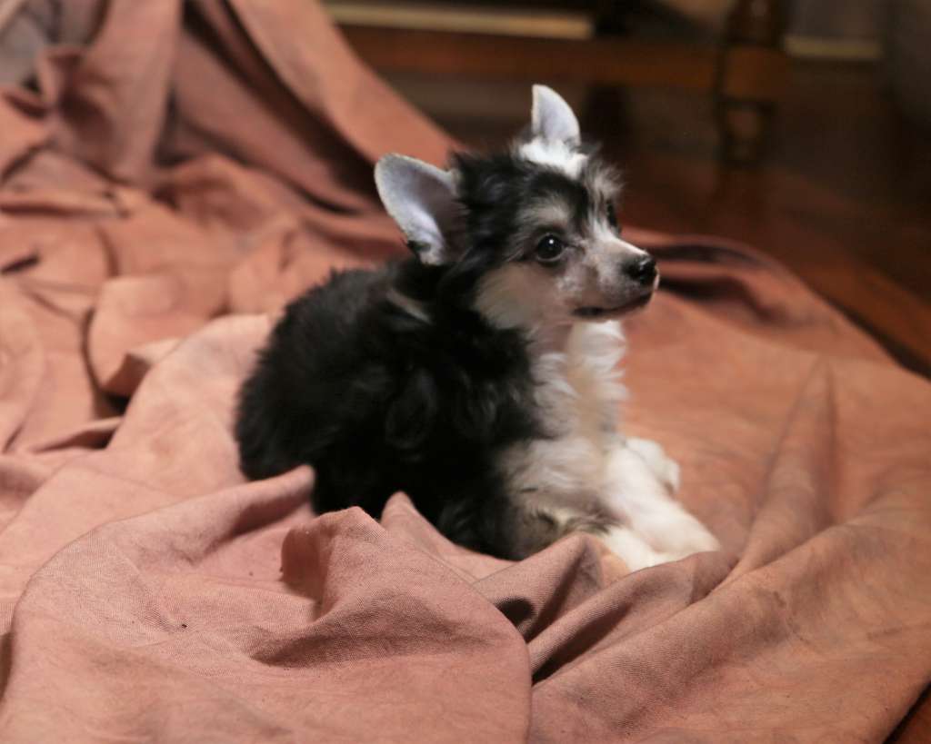 Cinondra's Walking On Sunshine