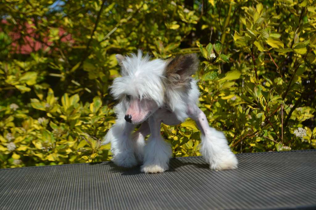 Landkris You'll Never Walk Alone