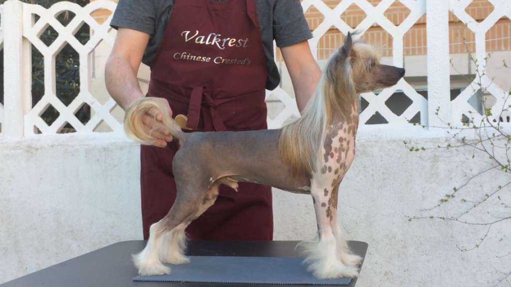 Mano Ponis Kentauras