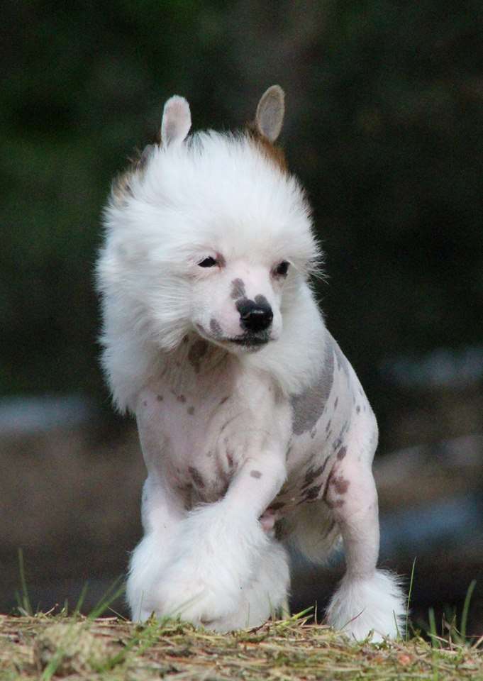 Milky Way Z Gwiazd Kasjopei