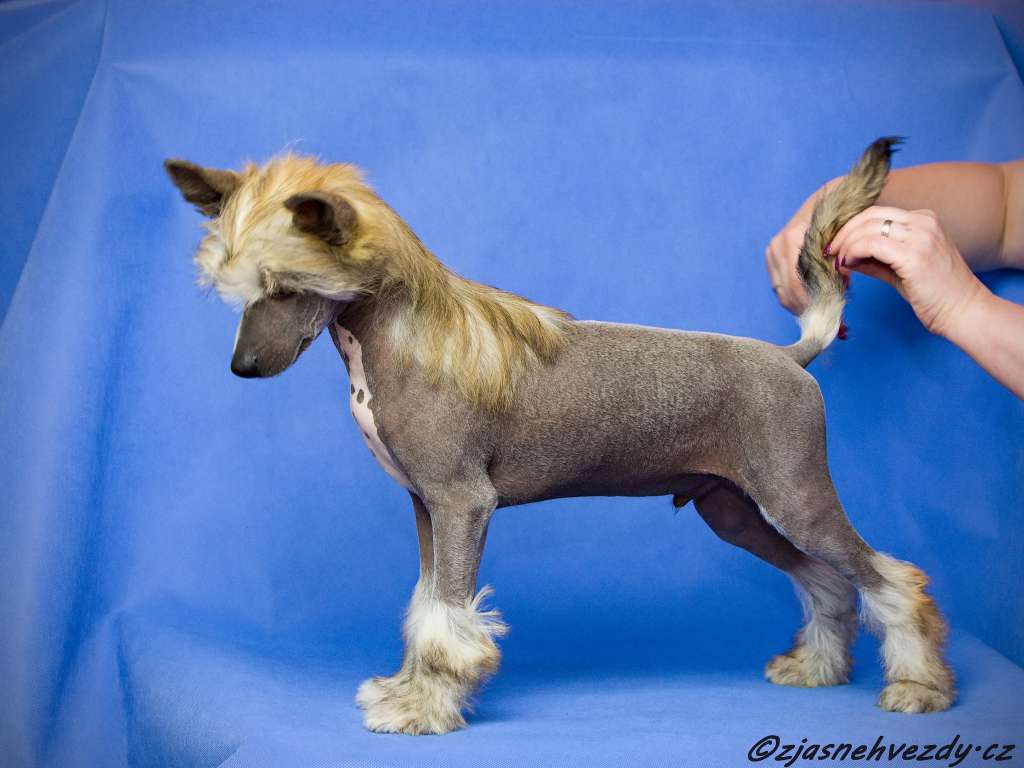 Olymp z Jasné hvezdy