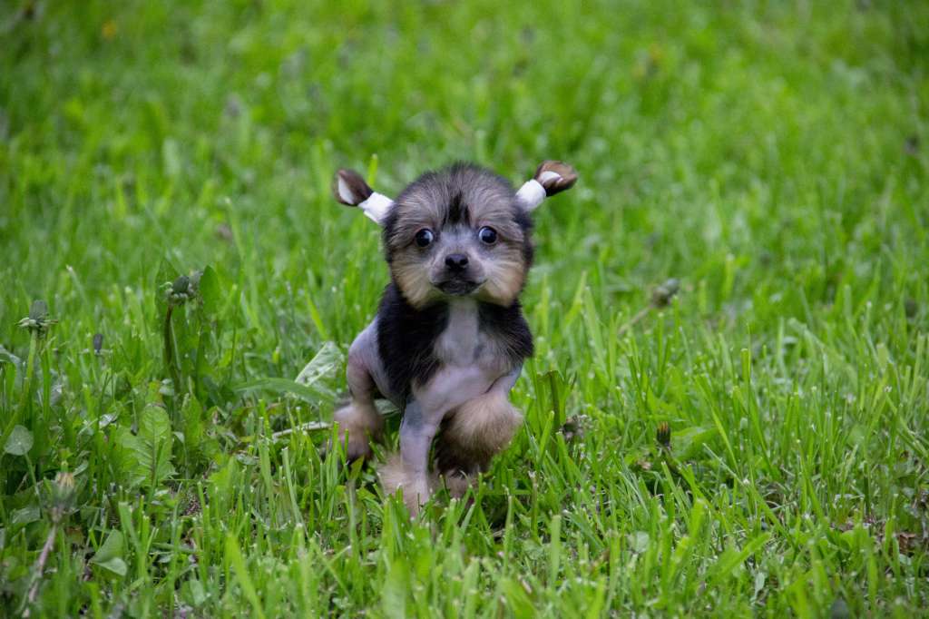 Diamanti Della Vita Dark Side Of The Moon