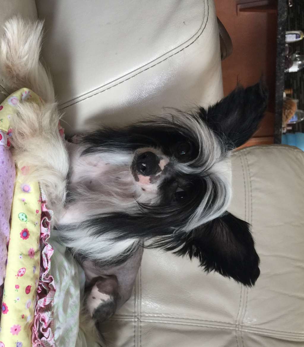 Felicity Delights Secrethaven