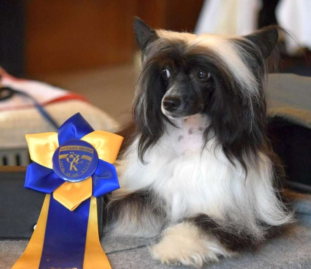 Carabella Sweet Moments