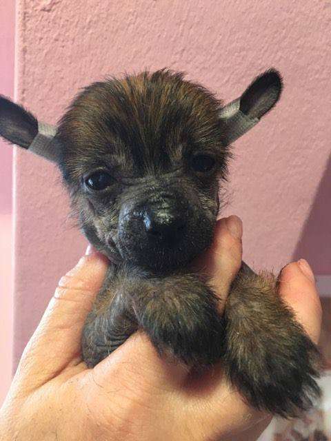 Castiel Sweet Moments