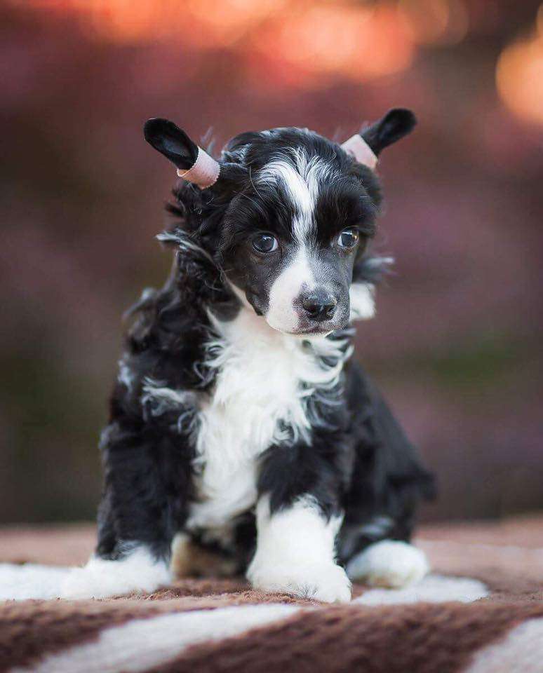 Energy Di Change My Life