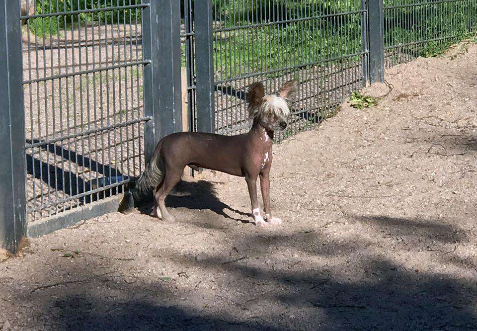 Black-Diva's Tukka Takana And Rock'N Roll