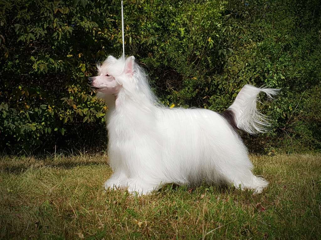 Valanyan Fuel To be Fabulous