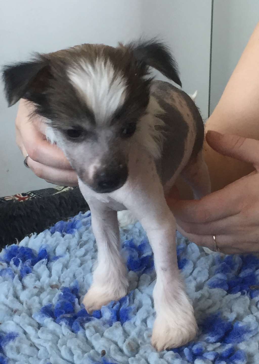 Starside Naked Truth