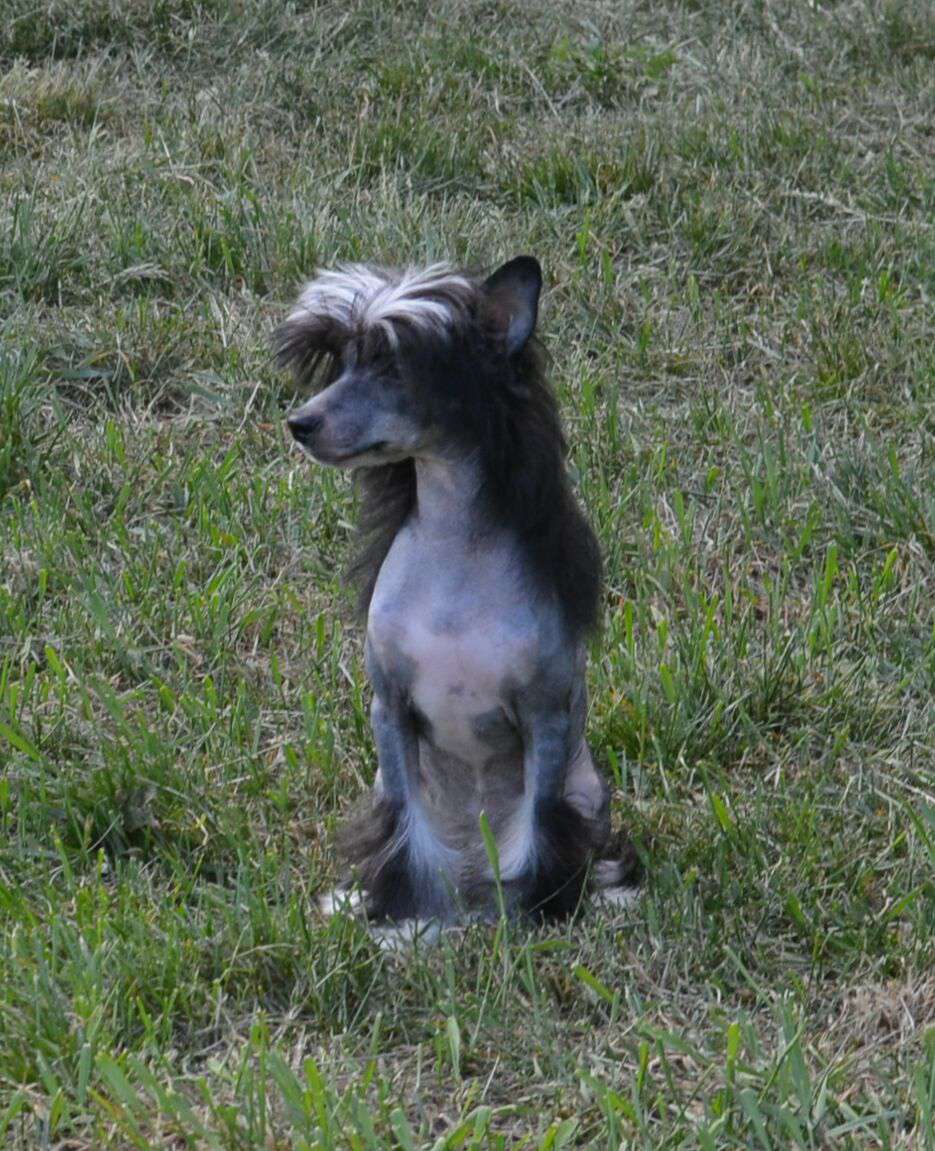 Magic of Success Le Grand