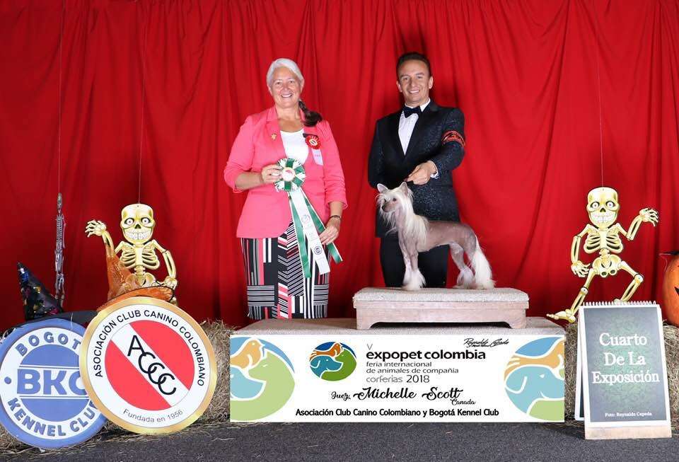 Gr.co.chco. Jco. Ch Pan. Poarott Farah