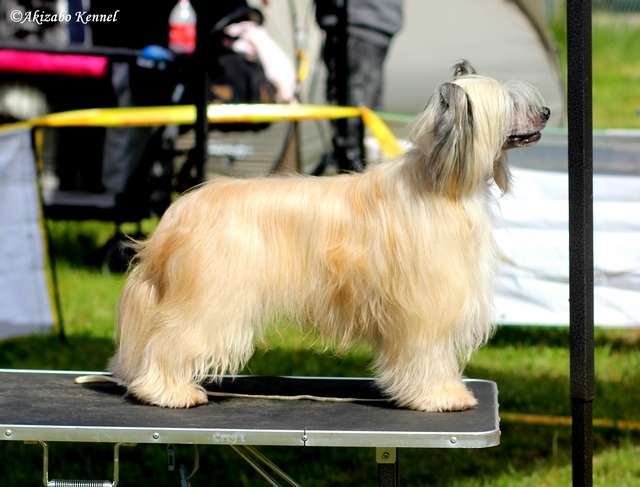 Fantazyjnie Meski Pretensja