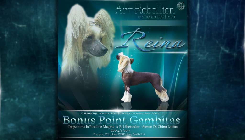 Bonus Point Gambitas