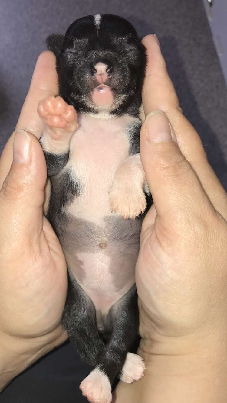 Hottie Tots Extreme Makeover