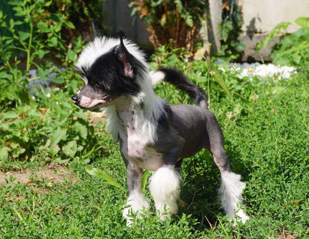 Grace of God Heybett