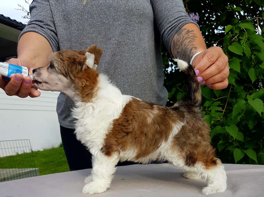 Angel Sprinkle's Begging For More