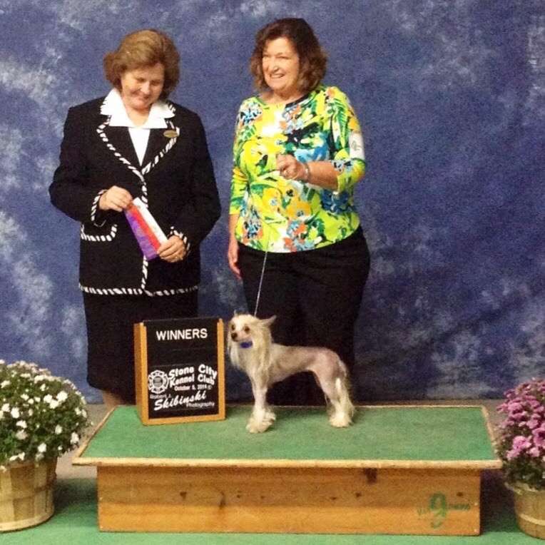 Little Egypt Carol Nina Quinn