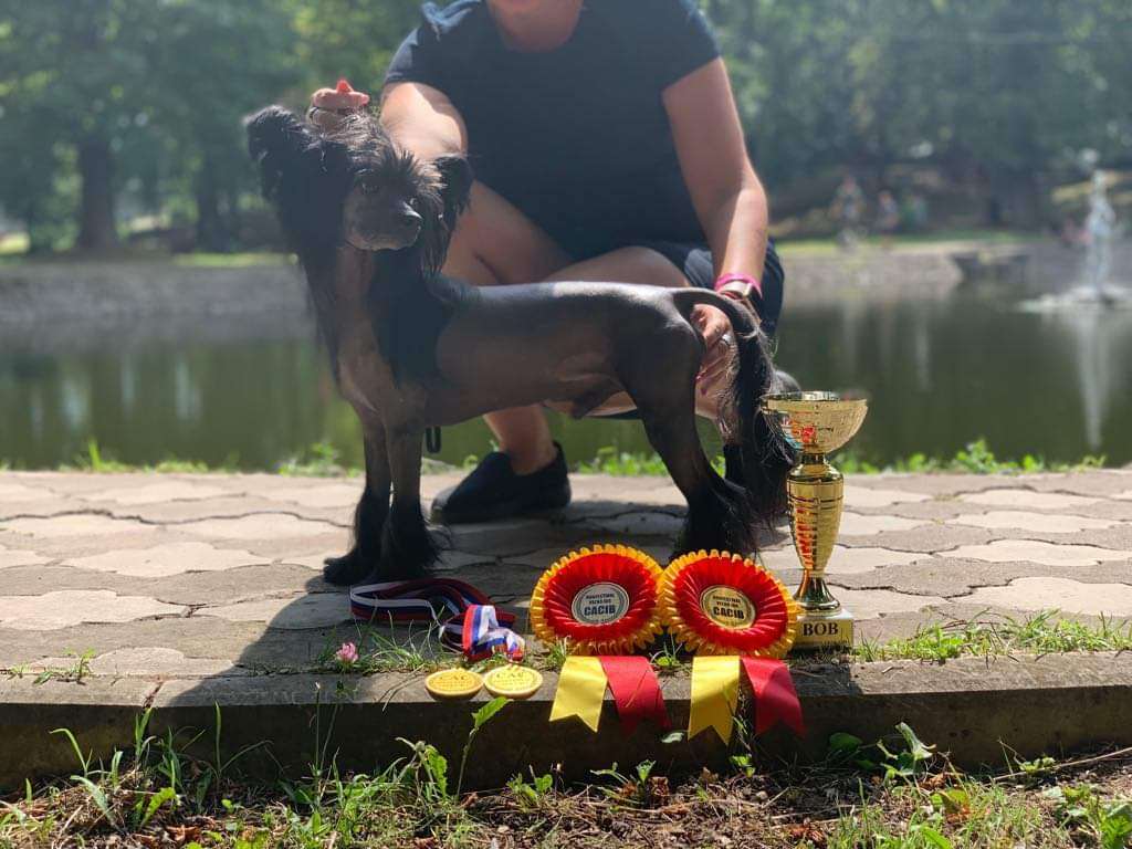 Bayron Chinese Dynasty Family