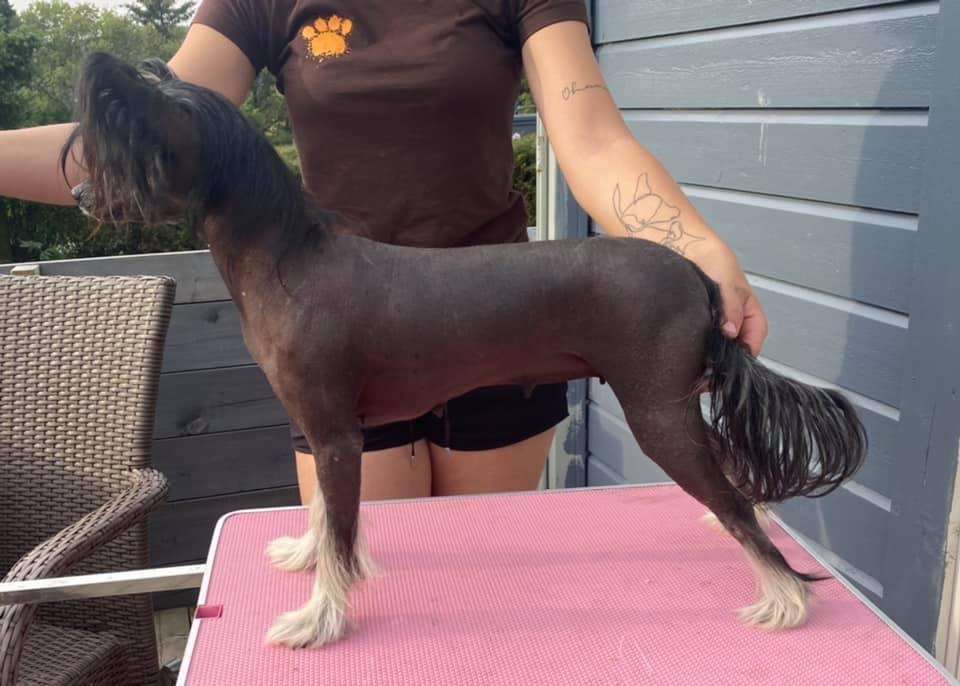 Absolute Souls Magical Trickster