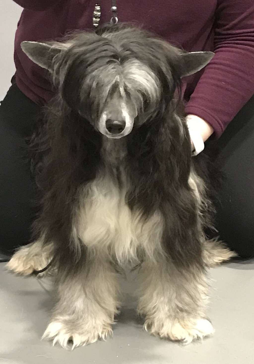 Absolute Souls I've Got Magic In Me