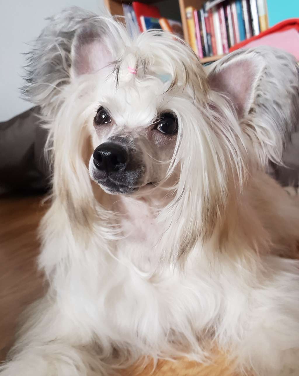 Viavrois All Is Possible