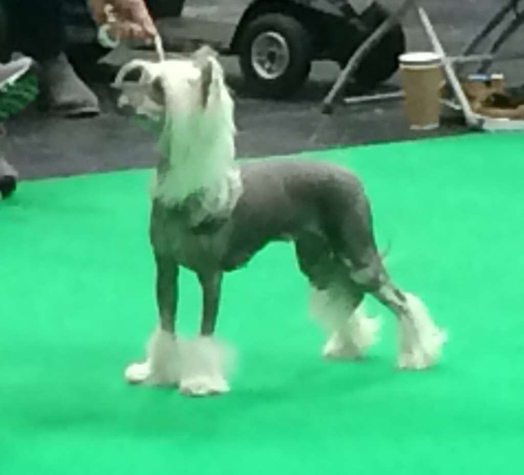 Prefix Venus de Milo