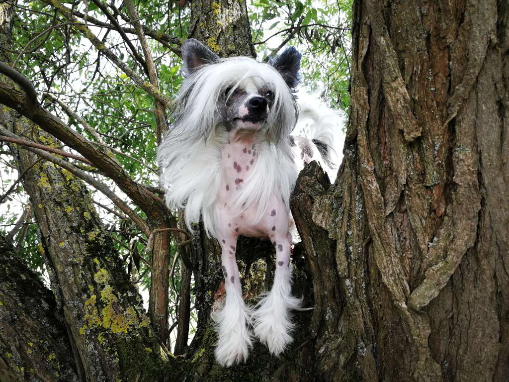 Angel O' Check Be My Endless Love