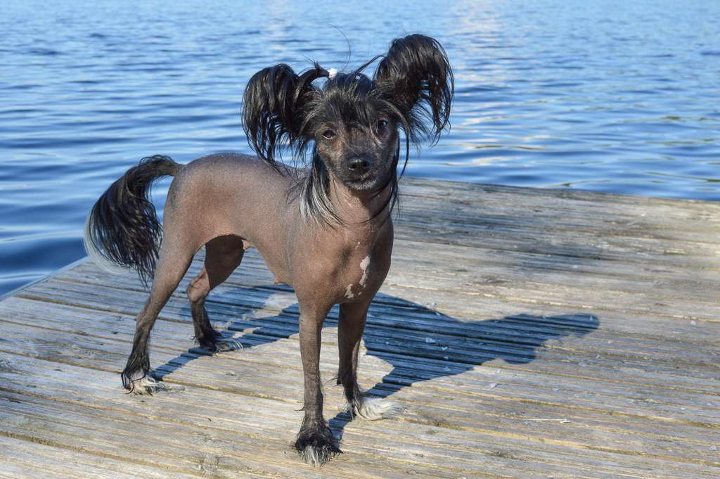 Maybell's Zero Tolerance