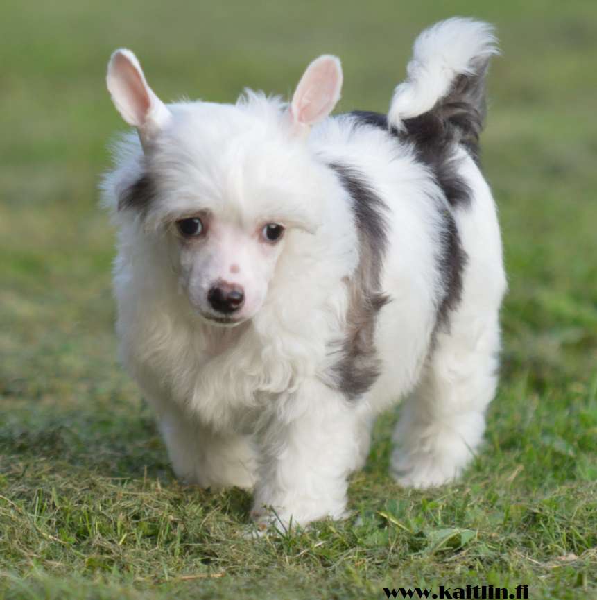 Kaitlin Once Upon A Time