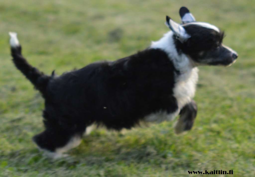 Kaitlin Oops I Did It Again