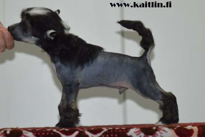 Kaitlin One And The Only