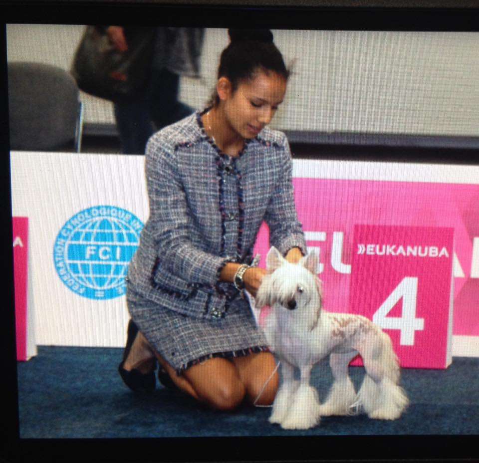 JItch. ItCh. JrTOP DOG 2018 Dakota Rose The Witch 