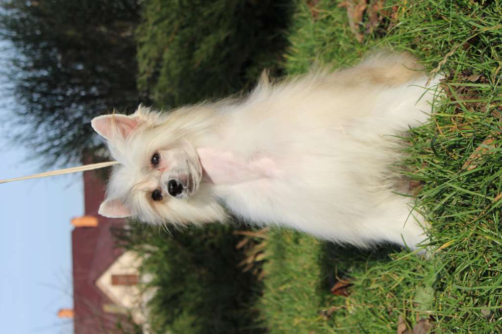 Beatrice My Little Happiness deFageiro