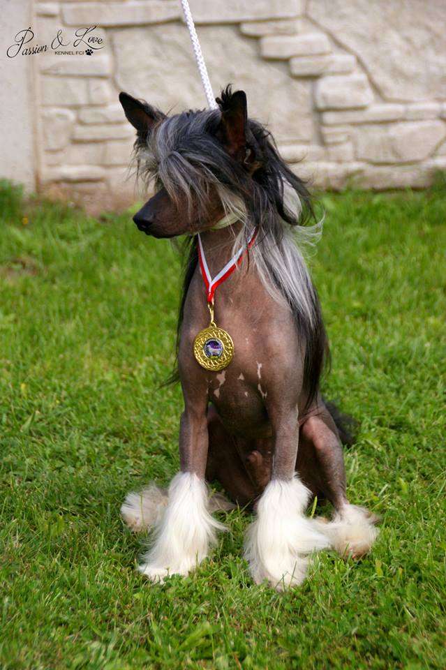 Rhysand Prince of Night Court Passion&love