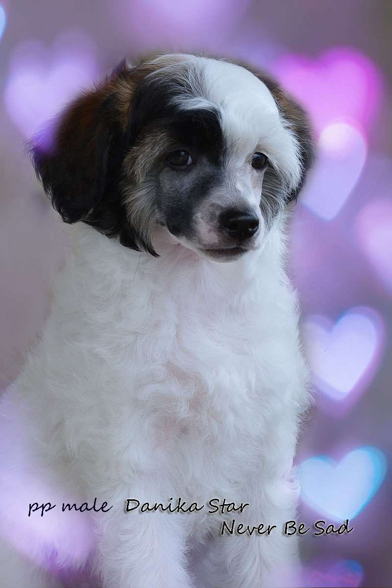 Danika Star Never Be Sad