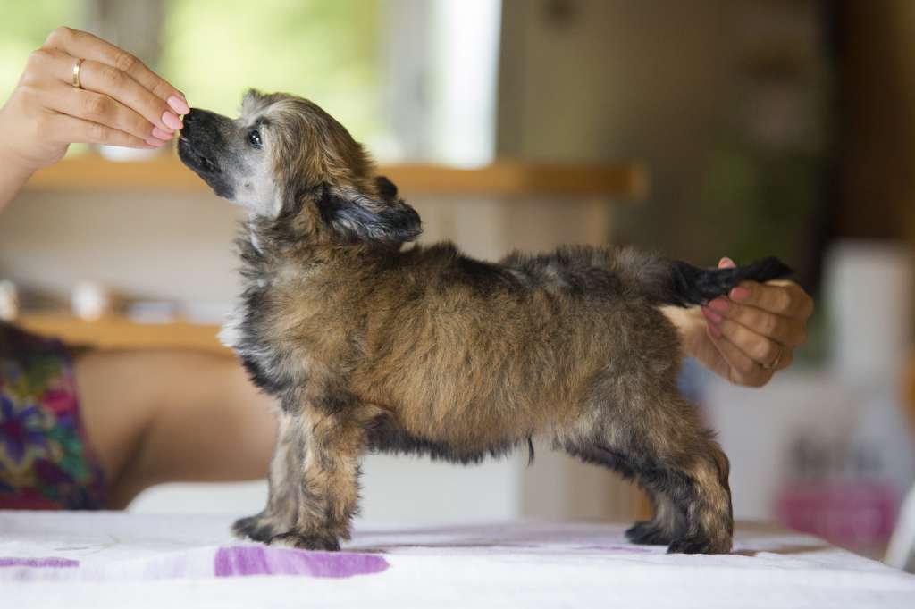 Streaptill Doctor Strange