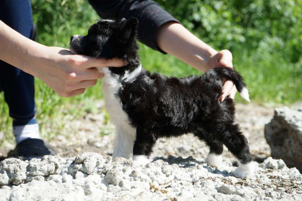 Sky Miracle Esmeralda