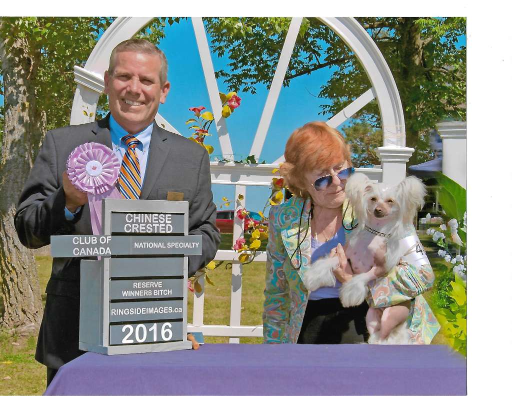 Pixietail all that Glitters