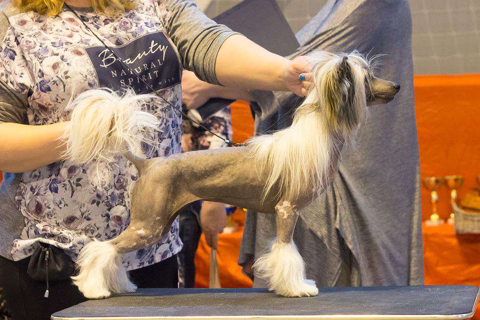 Status Imperial Ultra Star