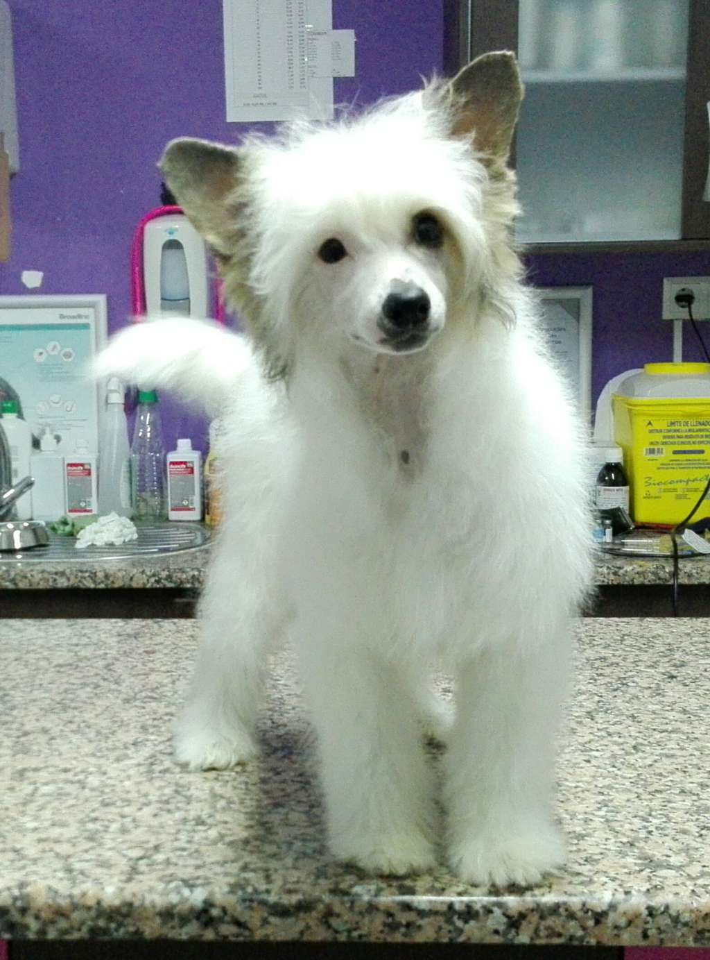 Volcancrest Landrove