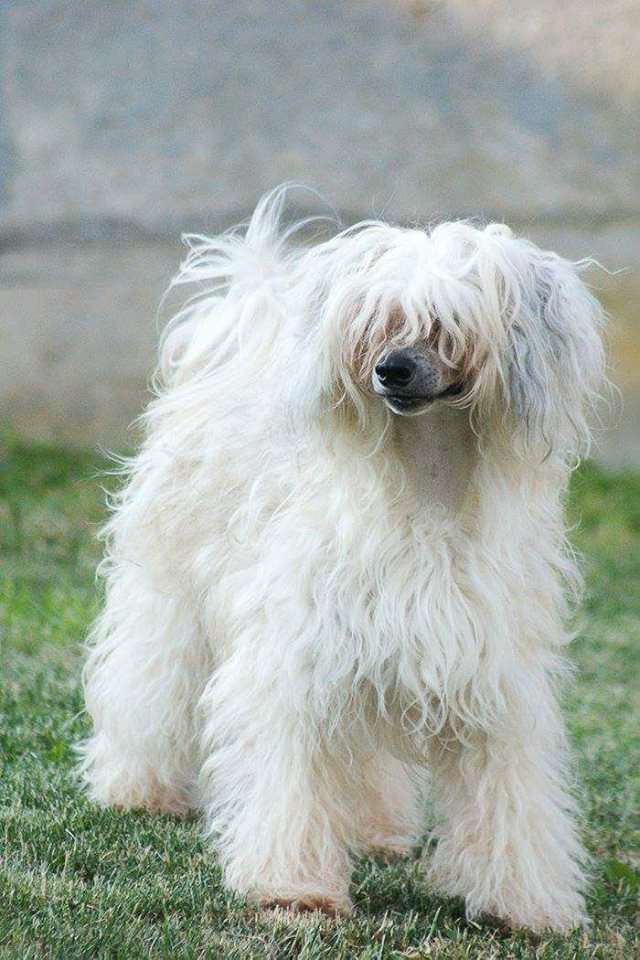 Atius Tirawa-Niyol Cante Tinza