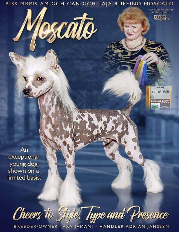 Taja Ruffino Moscato