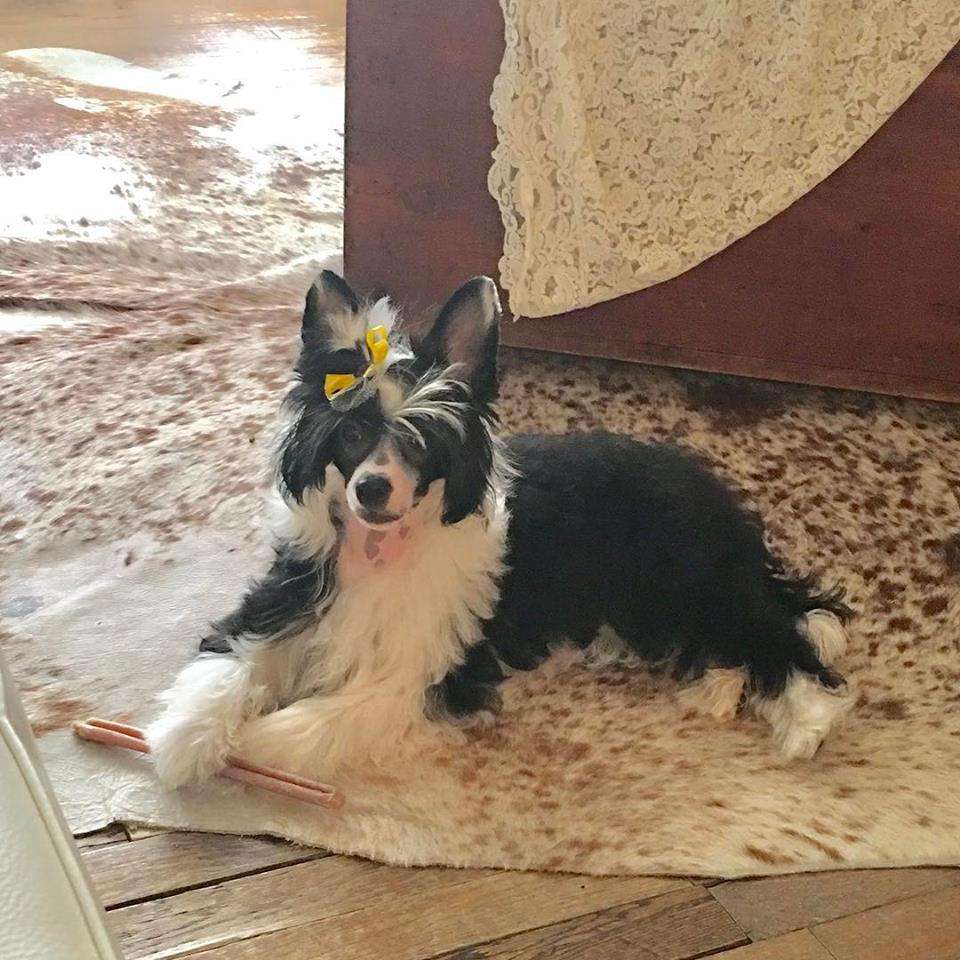 Carrera's Dior-Von Eden